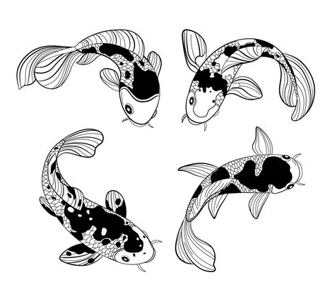 koi fish drawing